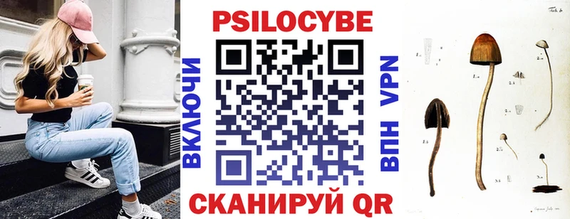 Псилоцибиновые грибы мицелий  Светогорск 